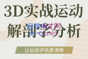 自然运动学院·3D实战运营解剖学分析，价值3980元