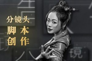 新片场·10类商业广告分镜头脚本创作思路，价值498元