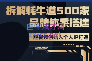 牛牛·500家餐饮品牌搭建&短视频深度解析，价值3998元