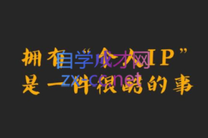 小左·一个人也能单打独斗做好自媒体，价值2980元