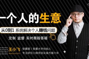 王小飞：一个人的生意 从0到1系统解决个人赚钱问题