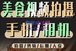 烁石流金·美食视频拍摄手机相机，拍摄剪辑后期人设，价值1280元