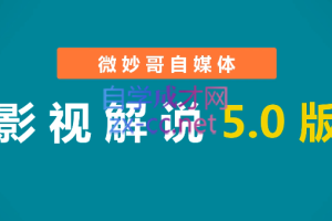 微妙哥·抖音电影解说（4.0版+5.0版）