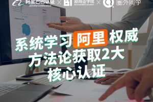 阿里x圈外·数据分析师企业实训项目，价值5999元