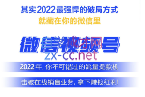 好望角·11天视频号变现训练营，价值398元