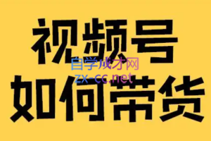 木易·视频号带货训练营，价值4980元