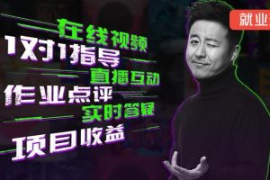 馒头先生·视频包装与剪辑在线就业班，【更新至第四章】