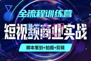 南夜-潇潇·短视频制作商业实战（策划+拍摄+PR+AE），价值3699元