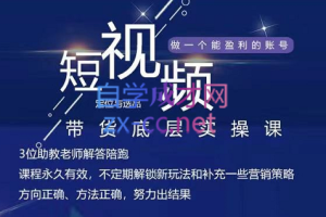 吴Sie·短视频带货底层实操课，价值980元