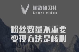 树敌研习社6月抖音赚钱课程：变现/养号/不适宜公开