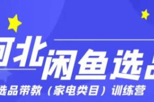 柯北·闲鱼选品带教加点类目训练营，价值499元