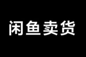 引流哥·闲鱼卖苹果手机项目，价值888元