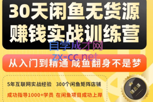 创业海盗·30天玩赚闲鱼实战训练营（第五十六期），价值3998元