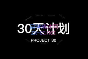 30天计划