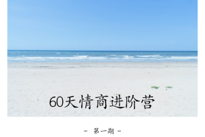 晚情·60天情商进阶营(第1+2期)，价值3999元