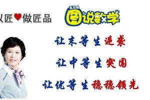 王乃向图说数学，(初级版+中级版+高级版)完整课