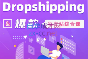 Daniel老师·Dropshipping&爆款独立站综合课，价值4399元