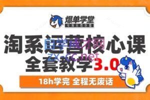 爆单学堂·淘系运营核心课3.0