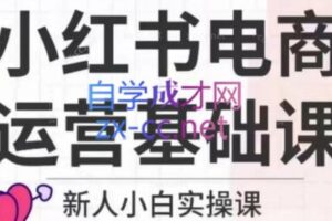 柒柒·小红书电商基础实操课