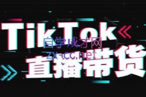 钧哥·TikTok直播带货实操变现课