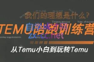 苗苗·拼多多跨境（temu）课程