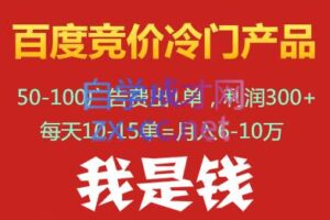 我是钱百度竞价冷门产品项目(39-56期)