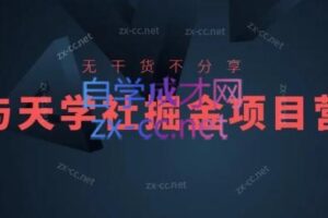 与天·掘金项目变现营