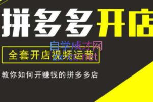 汇睿拼商学院·拼多多开店培训VIP课程【更新24年1月】