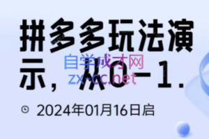 吴老师·拼多多从选品到截流到付费的玩法技巧