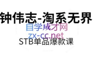 钟伟志·淘系无界STB单品爆款课（2024）