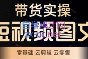 鑫哥·2024零基础短视频带货实操营