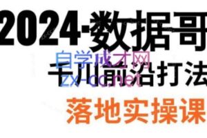 数据哥·2024年千川前沿打法落地实操课