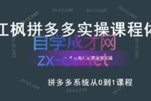 江枫老师·拼多多实操课程