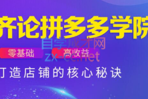 齐论拼多多vip课程（更新24年4月）