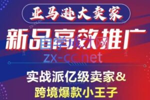 亚马逊大卖家-新品高效推广