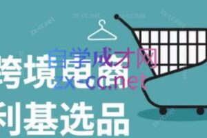 阿甘·2024年跨境电商选品案例