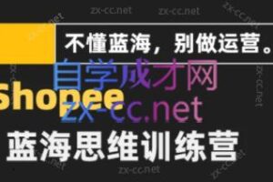 王老师·shopee蓝海思维高阶精品运营课（2023版）