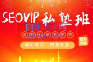 燃灯SEO搜索学院·百度SEOVIP私塾班（更新24年5月）