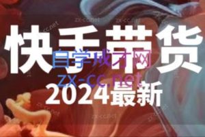 快手带货（2024最新）