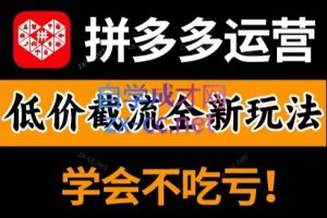 王校长·拼多多实操课程（更新4月）