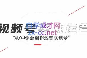 彭老师·2024视频号营销实战课（视频+直播）