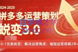 大力老师·2024拼多多运营策略蜕变3.0