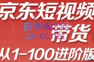 飞飞淇·京东短视频带货，从1-100进阶版（更新24年6月）