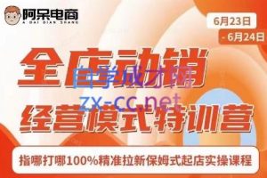 阿呆电商·全店动销经营模式特训营（线下录音+思维导图）