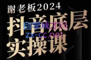 2024谢老板底层实操课