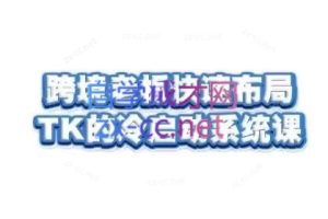 随新索创·跨境老板快速布局TikTok的冷启动系统课