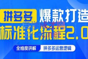 云杉老师·拼多多爆款打造标准化流程2.0