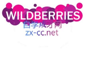 wildberriesWB野莓/OZON本土电商系列课