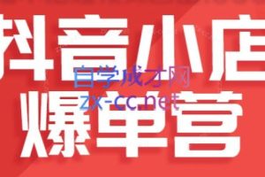 推易抖音小店爆单营（更新9月）