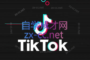 TikTok短视频运营+跨境小店运营